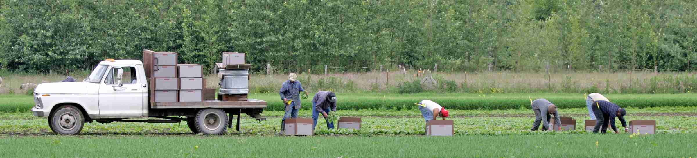 migrant farm workers 