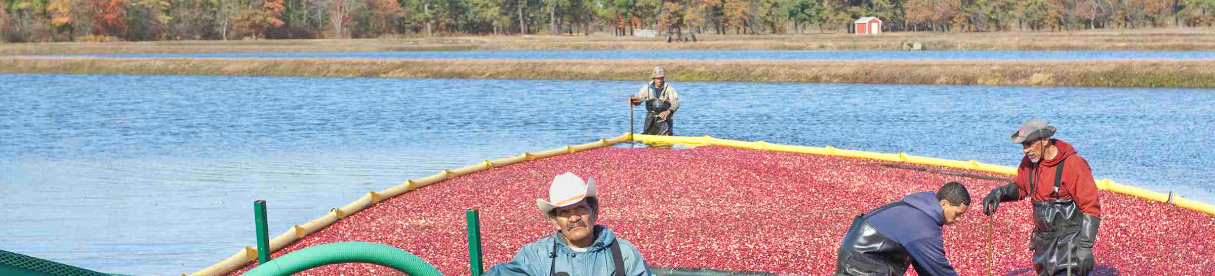 Cranberry Island Cowboys